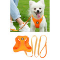 Sada postroj a vodítko pro malé psy/kočky oranž. XXXS