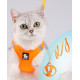 Sada postroj a vodítko pro malé psy/kočky oranžový XS