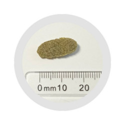 Těstoviny instantní + řasa 3kg