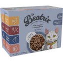 Kapsička Beatrix Adult Cat box 12x85g