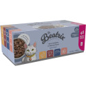 Kapsička Beatrix Adult Cat box 48x85g