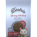 Beatrix Adult Cat s hovězím 1,4kg
