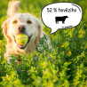 Calibra Dog Life Large Fresh Beef 12kg