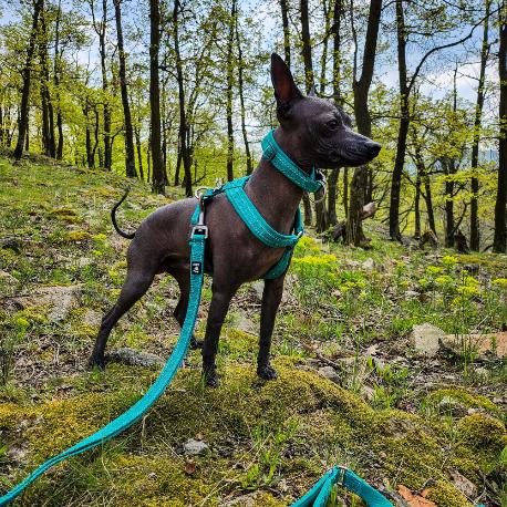 Postroj Y Hurtta Casual ECO paví zeleň 45-55cm