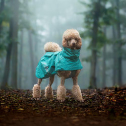 Obleček Hurtta Monsoon coat II ECO paví zeleň 40