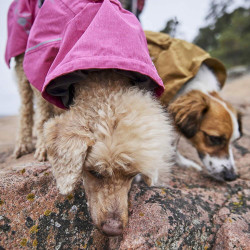 Obleček Hurtta Monsoon coat II ECO pískový 55