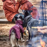 Obleček Hurtta Mudventure Coat ECO skořicový 40