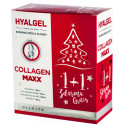 Hyalgel Collagen MAXX na klouby pomeranč balíček 2x500ml