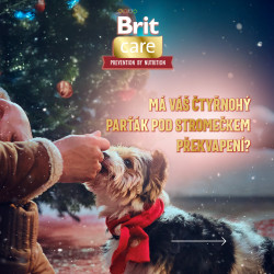 Brit Care Dog Vánoční konzerva s králíkem 400g