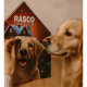 Adventní kalendář RASCO Premium pro psí mlsouny Nový 120g