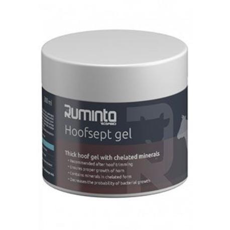 Hoofsept gel 400g + štětec