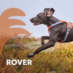 Postroj Hurtta Rover skořicový 65-80