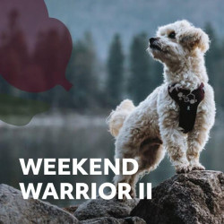 Postroj Hurtta Weekend Warrior II ECO lilkový 75-100