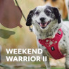 Postroj Hurtta Weekend Warrior II ECO  rubínový 45-60