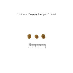 Eminent Dog Puppy Large pro stenata