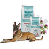 Eminent VET Diet Dog Hepatic dieta na játra 11kg