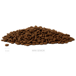 ALMI Mini Senior granule 12kg