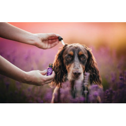 Ecopets Dog&Cat&Rodent JEMNÁ KAPKA proti klíšťatům30ml