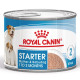 Royal Canin VD Canine Starter M&B Mousse konz. 195g
