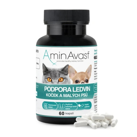 AminAvast Kočka 60 cps