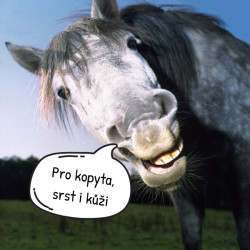 Hyalgel Horse Biotin na urychlení línání pro koně