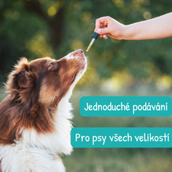 CBD Konopný olej (kapky) pro psy slanina 10% 10ml