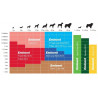 Eminent Dog Puppy Large tabulka