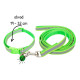 Sada obojek s vodítkem pro štěně sv.zelená reflex