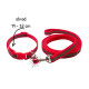 Sada obojek s vodítkem pro štěně červená reflex