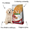 N&D LG DOG Puppy M/L Chicken & Pomegranate 12kg