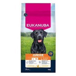 Eukanuba Dog Junior Large rich in fresh Chicken 15kg