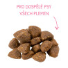 Profine Dog Dry Adult Salmon 12kg