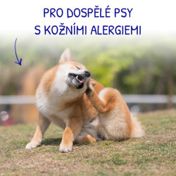 VetExpert VD 4T Dermatosis Dog Rabbit Potato 12kg