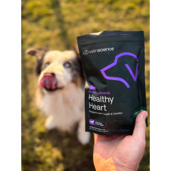 VetriScience Healthy Heart podp.srdce psi 300g