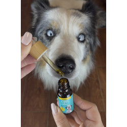 CBD Konopný olej pro psy slanina 10% 10ml