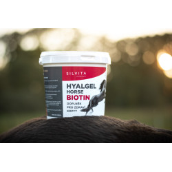Hyalgel Horse Biotin na kopyta pro koně