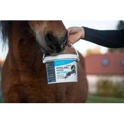 Hyalgel Horse Active Elektrolyt pro koně
