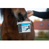 Hyalgel Horse Active Elektrolyt pro koně
