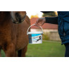 Hyalgel Horse Active Elektrolyt pro koně