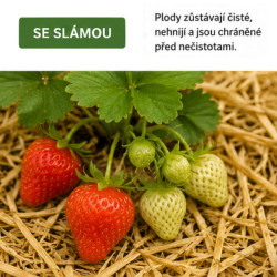Podestýlka slaměná pod ovoce a zeleninu RabbitWeed500l