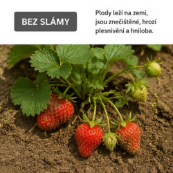 Podestýlka slaměná pod ovoce a zeleninu RabbitWeed500l