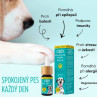 CBD Konopný olej pro psy slanina 10% 10ml