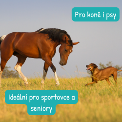 Konopný olej pro zvířata 20L