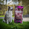 Marp Holistic Senior & Light Turkey Grain Free 12kg