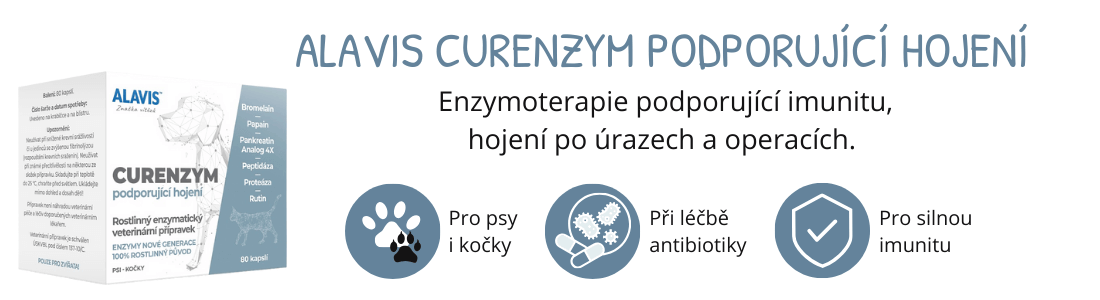 Alavis Curenzym podporující hojení cps.80