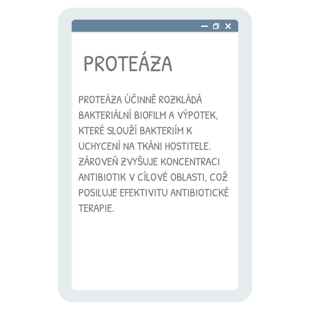 Alavis Curenzym proteáza