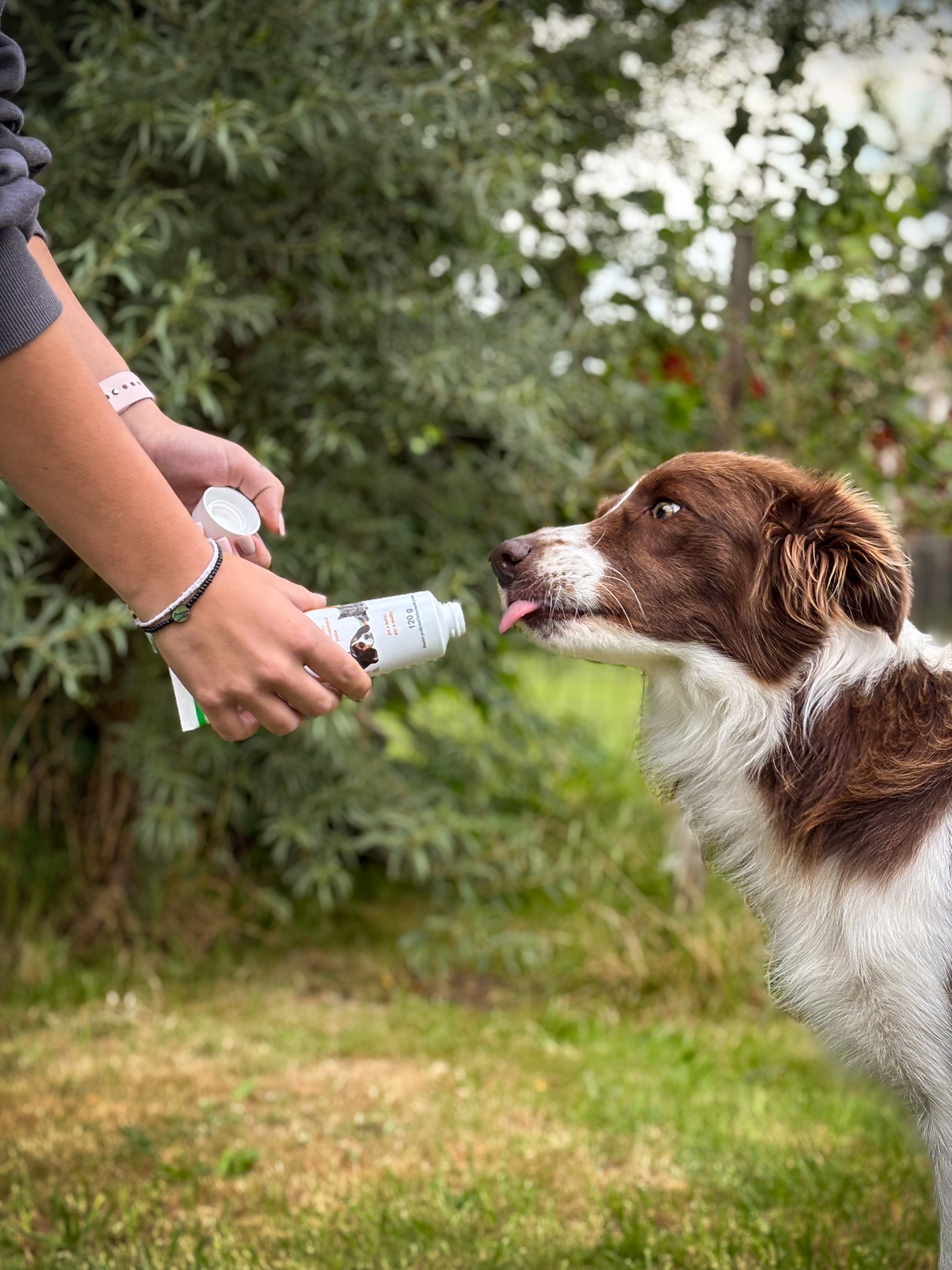Calo-Pet pro psy a kočky