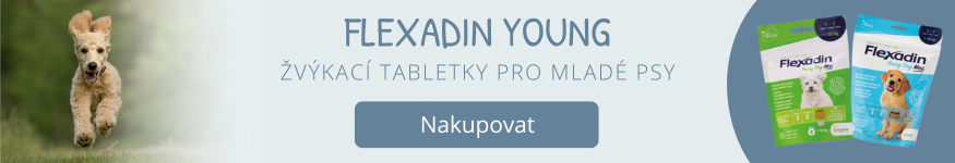 Flexadin Young kloubní výživa pro štěňata