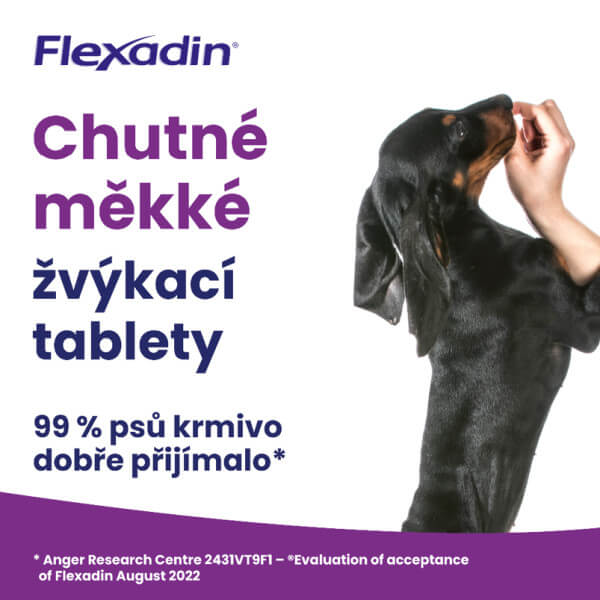 Flexadin chutné tablety