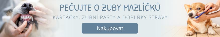 Péče o zuby pro psy
